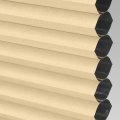 Papyrus 403