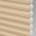 Parchment 204
