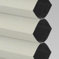 CNRD1-8277 Silver Dollar