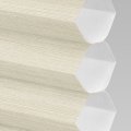 DWLF1-8235 Creamsicle