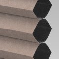SRRD1-8227 Chocolatier