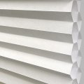 IBLD-1006 Hint of Mint