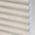 IBLS-1017 Canvas