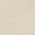 P0079 Ivory