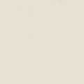 Ivory 040