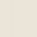 Ivory 040