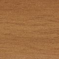 Pecan 9253
