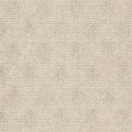 Sandstone-Beige SVN1001