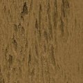 Teak 1006