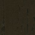 Walnut 1009