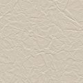 Buckskin 1008