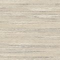 Savannah - Sanddune - 1137A02