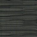 NS + Regal - Obsidian - 9120003800086