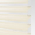 1001 Ivory