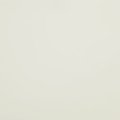 004 Bright  White