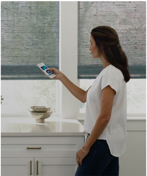 Levolor Motorization control