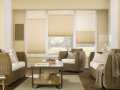 Bali Blind Eternity cell shade is a new introduction in three soft colors.
