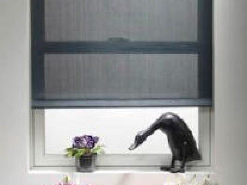 Bali Solar Roller Shades style Lucence is a basic but very tight Solar Shade.