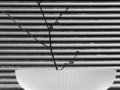 Blindsexpress-Brand  2 inch 8 gauge aluminum mini blinds