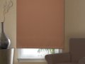 reminencent Black out roller shade