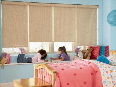 Roller Shades Style Reminiscent Black out Roller shade 3 ply vinyl