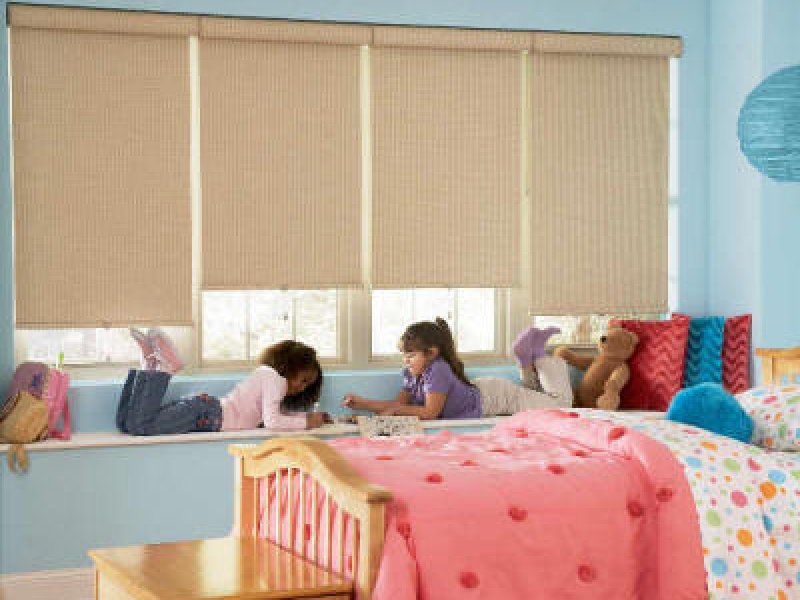Roller Shades Style Reminiscent Black out Roller shade 3 ply vinyl
