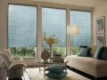 Blindsexpress Brand Cordless Cellular Blind - cellular blinds