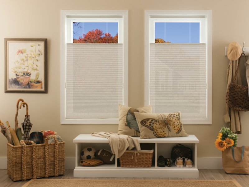 Blindsexpress Brand Cordless Cellular Blind - cellular blinds