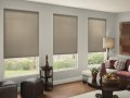 Blindsexpress Brand Cordless Cellular Blind - cellular blinds