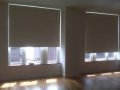 Blackout roller shades by blindsexpress