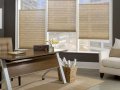 Bali Pleated Shade Dunes is a pleated shade collection with sheer elegance.