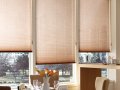 Bali Pleated Shade Dunes is a pleated shade collection with sheer elegance.