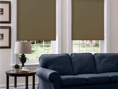 Brown serena shades