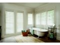 Levolor Faux Wood Blinds: Visions 2 Inch Blinds