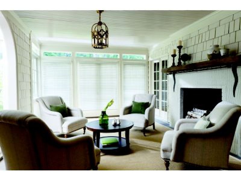 Levolor Faux Wood Blinds: Visions 2 Inch Blinds
