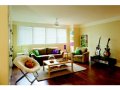 Levolor Faux Wood Blinds: Visions 2 Inch Blinds