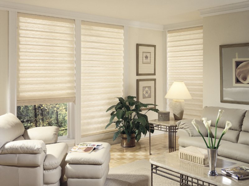 Blindsexpress Brand Roman Shade - blinds,shades,window treatment-style Helmsley