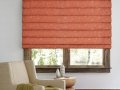 Blindsexpress Brand Roman Shade - blinds,shades,window treatment St. Moritz 