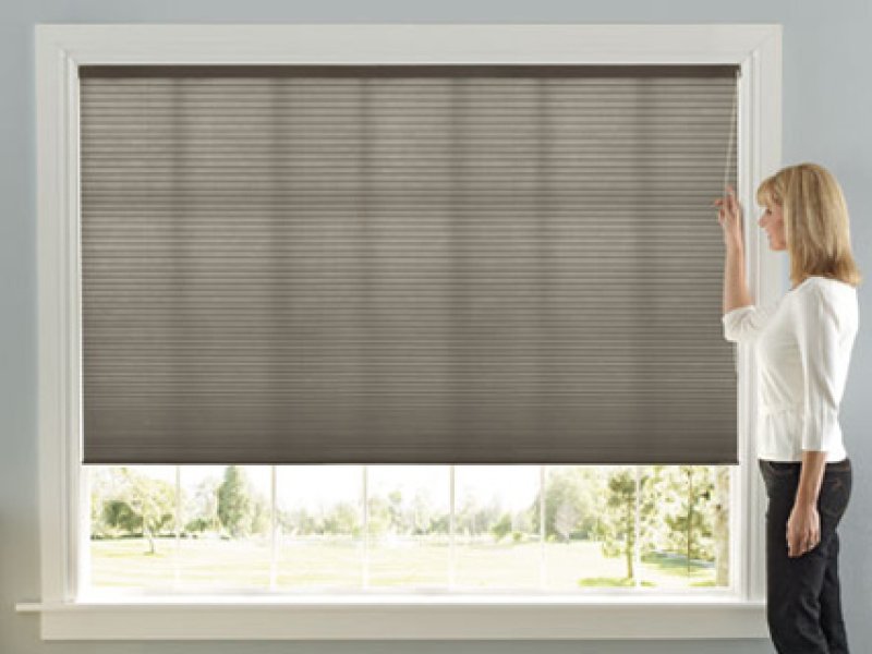 Levolor Accordia Cellular Seclusions  9/16 Light Filtering 