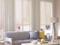 Bali Ornamental roller shade