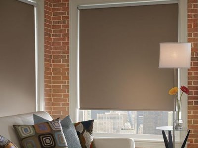 Tahoe black out roller shade made by Bali