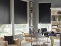 EconoScreen 1% solor roller 