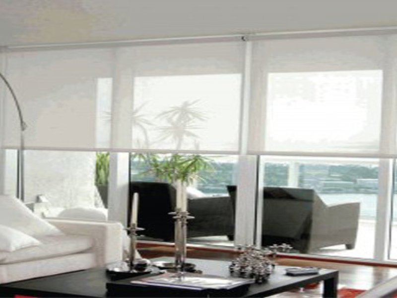 Blindsexpress offers solar shades NS_BW