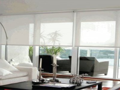 Blindsexpress offers solar shades 3000 Daylight