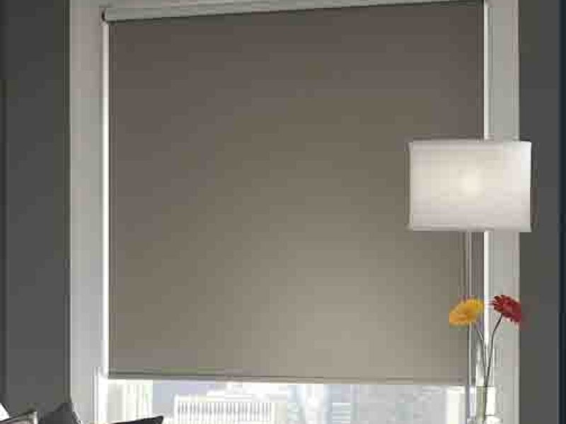 Mesa 2 color liner back roller shade