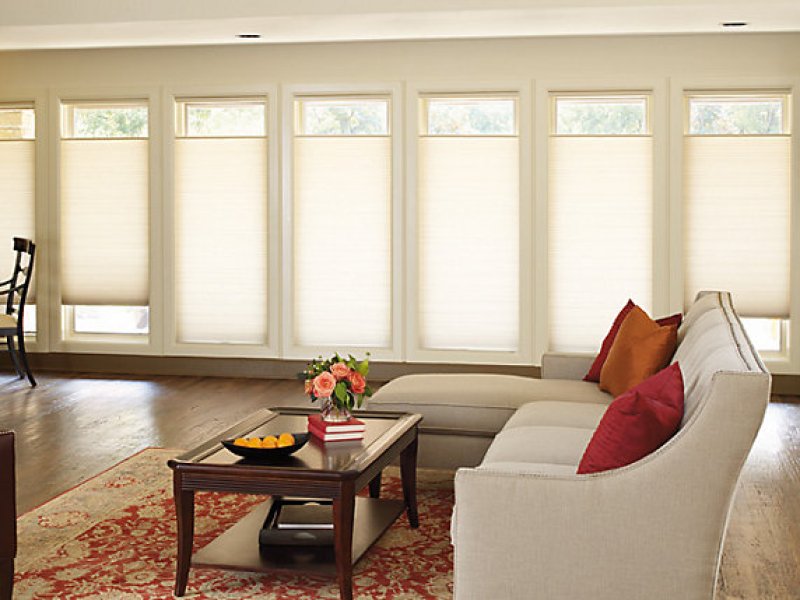 Levolor  Cellular Classic 3/4inch Light Filtering and Room Darkening