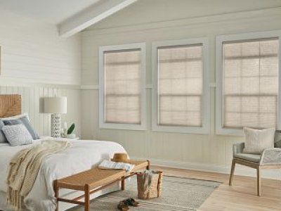 Basics cellular light filtering shades TDBU