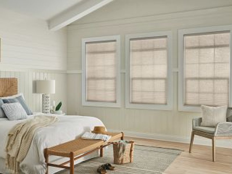 Basics cellular light filtering shades TDBU