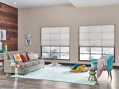 Basics Plus cellular light filtering cordless TDBU