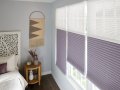 Our Brand Premium  Double Cell Blackout LPL Cell Shades Colors